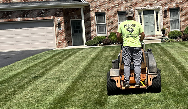 Picone Landscaping Crew at Work
